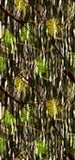 Watuko Headgear Bamboo Moda Collection