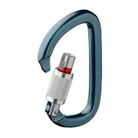Petzl AMâ€™D SL Carabiner
